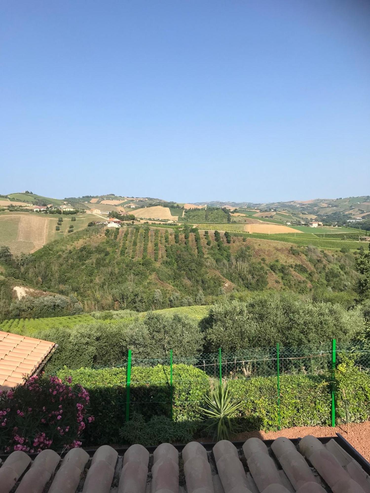 Agriturismo Cerquatonda Montalto delle Marche Exterior foto